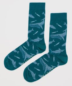 Normarodriguez.shop2b9611b214 2