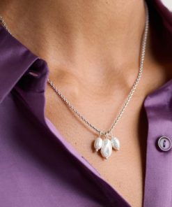 Normarodriguez.shopa976c2516c 1